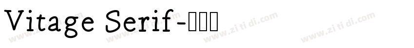 Vitage Serif字体转换